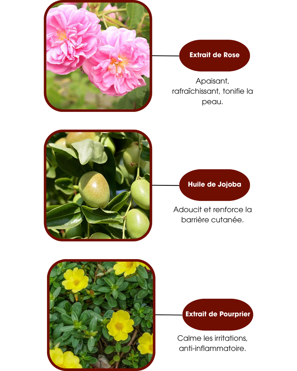 Pack de 2 Masques Hydratants Pour Pieds